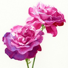 . . . of  rose  and  stone . . .