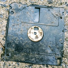 Fondements (du biopouvoir)