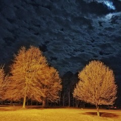 Moon Maggot