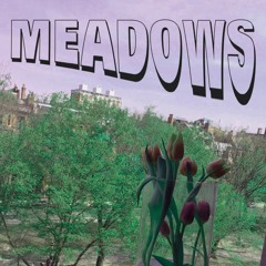 Meadows Ft. Understanding & Jane (Prod. by bin x Sumtimes Why)