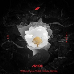 Avicii - Without You (VIDALI Tribute Remix)