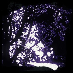 blood on my bitch (prod. born hero)