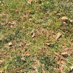 i just miss the love