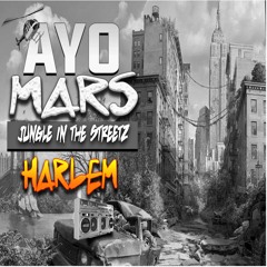 "AYO Mars - Run To The Bag"