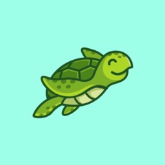 Ethan: My Turtle