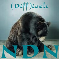 NDN