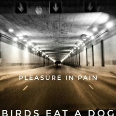 BIRDS EAT A DOG - Pleasure in Pain