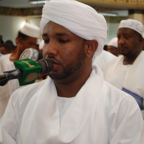 الشيخ الزين محمد احمد