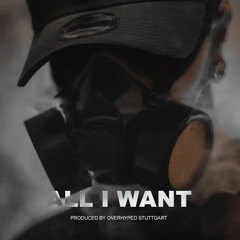 All I Want (prod. by OVERHYPED)