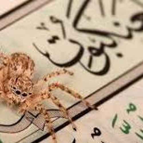 ترتيل لما تيسر من سورة العنكبوت- سعيد حمزة