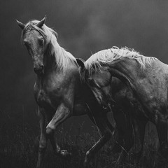 أخي ما السوطُ آلمني، أحمد حويلي