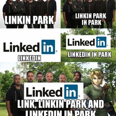 Link In Park