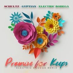 Promise For Keeps (Electric Bodega Remix) Matthew Schultz X Gyptian X Electric Bodega