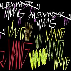 Alexanderr VWng - alexander wang