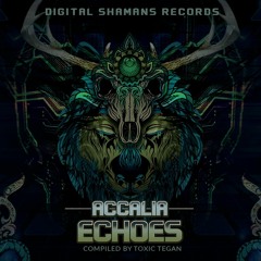Va - Accalia Echoes Mini Mix By Toxic Tegan