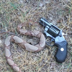 AXEMAN - THESE SNAKES