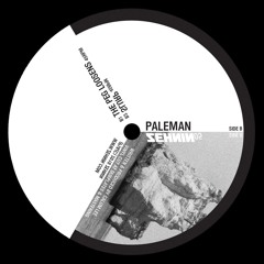 PALEMAN - SEARCHING [ZEHNIN05]
