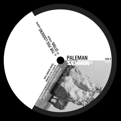 PALEMAN - SEARCHING [ZEHNIN05]
