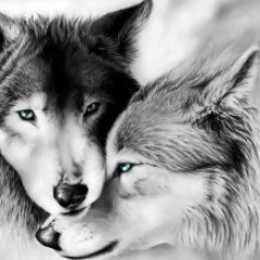 Love It (Life As We Know It) Rough Cut