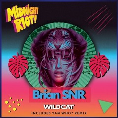 Brian SNR 'Wild Cat' Yam Who  Remix Teaser