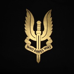 Call of Duty 4 Modern Warfare S.A.S Spawn Theme