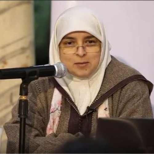د.هبة رؤوف عزت - الحداثة السائلة