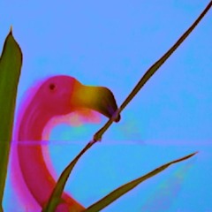 𝙎𝙡𝙞𝙜𝙝𝙩𝙡𝙮 𝘽𝙡𝙪𝙚 (4 𝙏𝙧𝙖𝙘𝙠 𝘾𝙖𝙨𝙨𝙚𝙩𝙩𝙚)