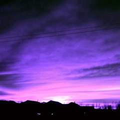 I Should Have Stayed (Prod. J Roes)