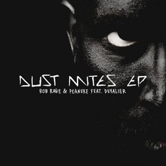 Bob Rage & Peanuke - Dust Mites (Distuner Remix)