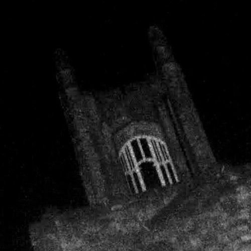 Stream Lanterns Lit Son Lux (Sylvia Halcyon Remix) by