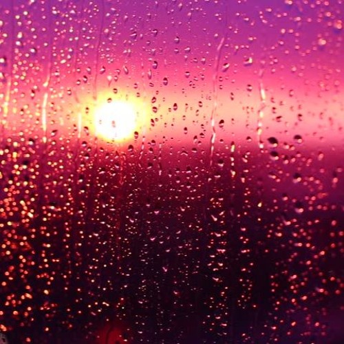 Early Summer Rain