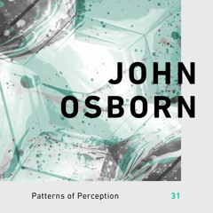 Patterns of Perception 31 - John Osborn