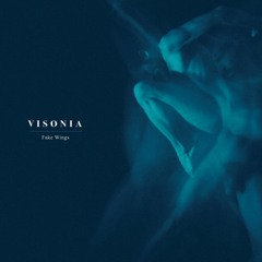 VISONIA - Why The Love Forgot Me