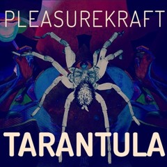 Oh Damn Baby - Pleasurekraft X Zhu