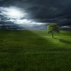 Come, Gentle Night