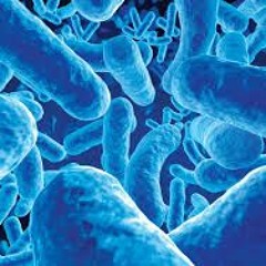 Germs - trap beat(자작비트)