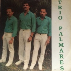 Trio Palmares - Tem Que Ter Um Peneirado