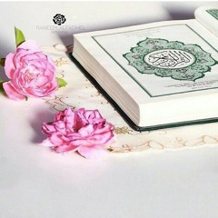 هُوَ القرآن ❤️ | ماهر زين | فسيروا 2 مع فهد الكندري