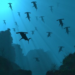 From The Depth Of Ocean