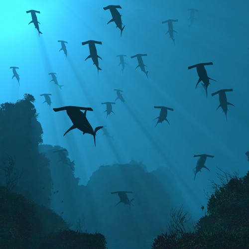 From The Depth Of Ocean
