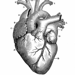 Only The Good Die Young (Iron Maiden cover)