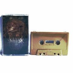 Abated Mass Of Flesh - Infectious Womb