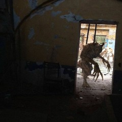 🌀 Enter the Void 🌀