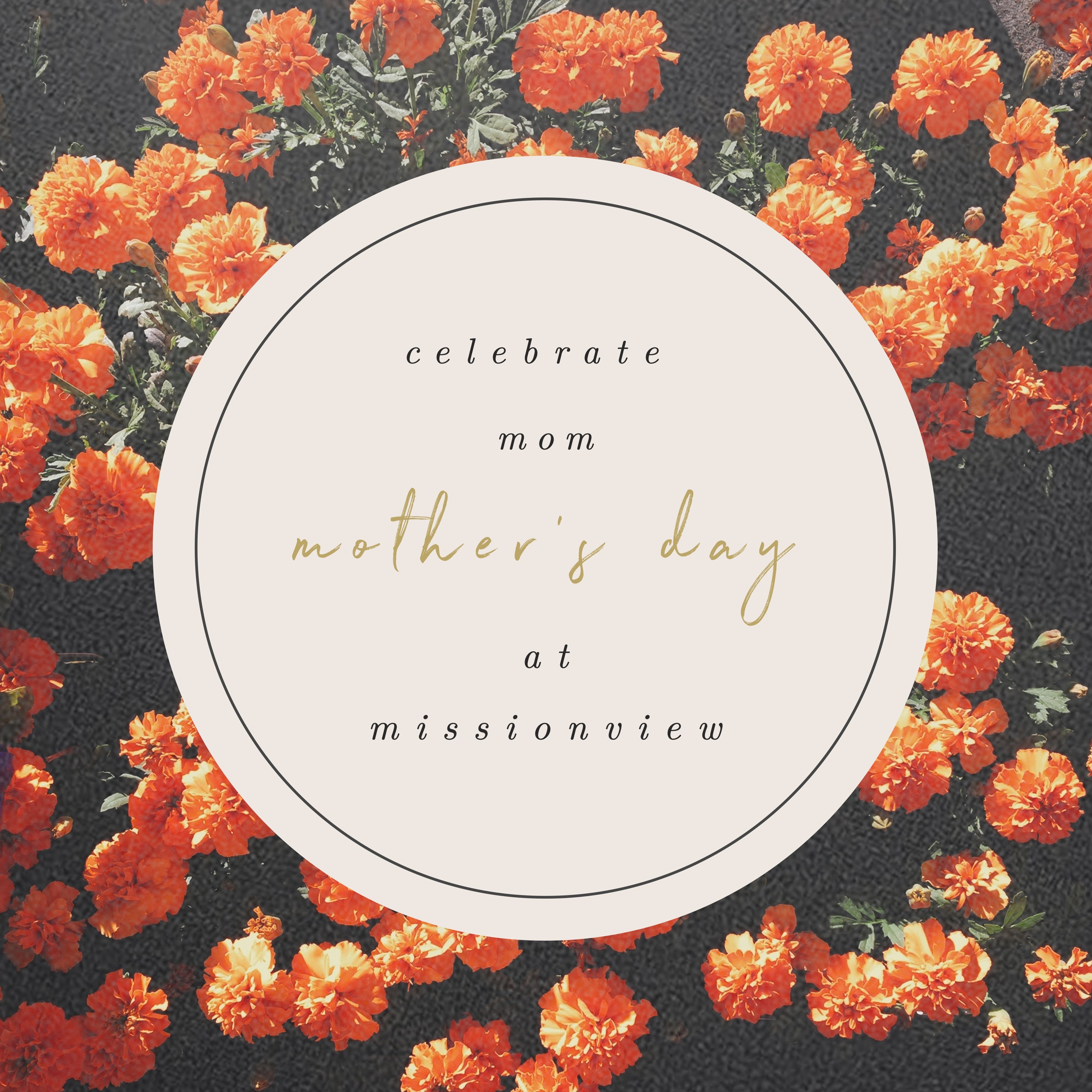 Mother's Day- Hall of Fame Mother episode artwork