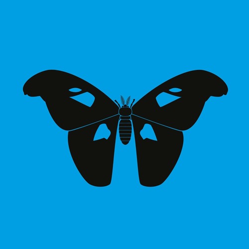 Stream Zodiak Commune Records | Listen to ZC014LP - The Butterfly Effect LP (2x12") playlist online for free on SoundCloud