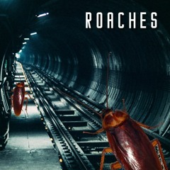 Roaches