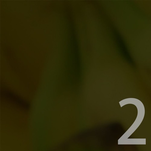 daily 2 (prod. zebrahaus)