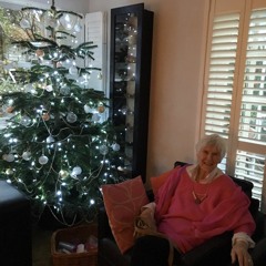 Cover of Vincent for Granny