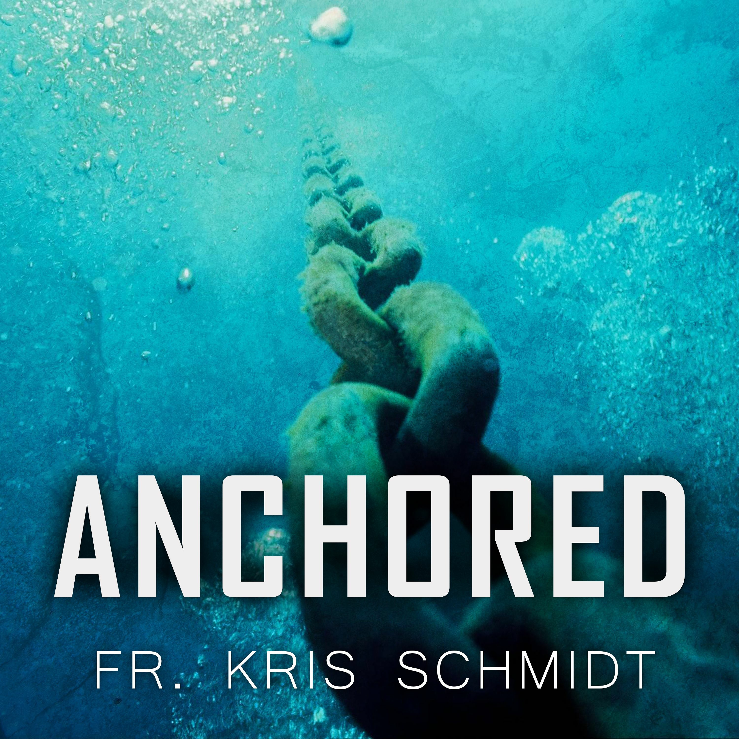 Fr. Kris Schmidt Homilies