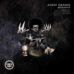 Agent Orange - Revolution (Ron Costa Remix) [FUNK'N DEEP BLACK]